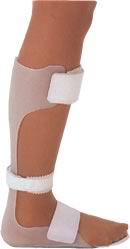 ��������i�V���[�z���^�j